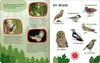 Mein großes Buch der Vogelstimmen Produktbild-Vorschau 5
