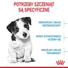 Royal Canin Mini Puppy, Welpe, Klein (5-10 kg), Geflügel, Produktbild-Vorschau 12