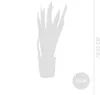 Bloomique - 2er Set - Sansevieria Zeylanica - Bogenhanf - Produktbild-Vorschau 6