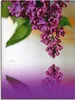 ARTland Leinwandbild Flieder Größe: 30x40 cm Produktbild-Vorschau 1