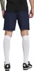 Puma Teamgoal Shorts Herren - Marine Produktbild-Vorschau 5