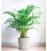 Übertopf Fyre Kunststoff Ø 40 cm H 39 cm weiß inkl. Rollen Produktbild-Vorschau 3
