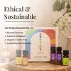Een set van zeven essentiële oliën, elk voor een van de Productafbeelding-voorbeeld 5