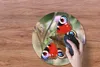 MuchoWow® Mauspad Mousepad Tagpfauenauge Schmetterling Produktbild-Vorschau 3
