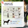 PawHut – skládací kočárek pro malé psy do 10 kg s gumovými Náhled obrázku produktu 5