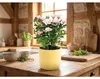 Blumentopf Lafiora Alma Keramik Ø 13,5 cm H 12,6 cm lemon Produktbild-Vorschau 2