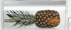 Bauknecht KGIS 16F2 P, 232 l, SN-T, 35 dB, 3,5 kg/24h, E, Produktbild-Vorschau 7