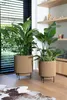 Vase cylindrique - CAPI EUROPE - Groove NL - 36 x 38 cm - Voir les images du produit 2