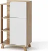 A product shot of a cabinet with shelves and a door, set against a white background. Náhled obrázku produktu