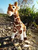 A plush giraffe toy is standing on a rocky shore next to some grass and water. Produktbild-Vorschau