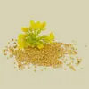 Senfmehl 2000g Produktbild-Vorschau 2