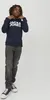 JACK & JONES Logo Hoodie JJECORP Größe: 176 Produktbild-Vorschau 3