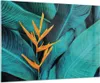 Bilder auf glas - Einteilig - Blumen Tropen Blätter - Produktbild-Vorschau 1