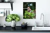 MuchoWow® Poster Junger Affe hängt an einem Ast 30x40 cm - Produktbild-Vorschau 3