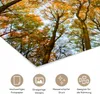 MuchoWow® Poster Wald - Bäume - Herbst 180x120 cm - Produktbild-Vorschau 5