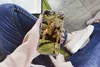 MuchoWow® Handyhülle Schutzhülle Hülle für iPhone SE 2020 Produktbild-Vorschau 3