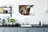 MuchoWow® Poster Niedliche kleine burmesische Katze im Korb Produktbild-Vorschau 3
