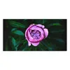 DEQORI Hybrid Leinwand Bild 100x50 cm 'Rosa Blütenzauber' Produktbild-Vorschau 2