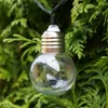 A close-up of a solar-powered light bulb string light hanging amongst green foliage. Produktbild-Vorschau