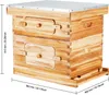 VEVOR Bienenstock, 20 Rahmen, Bienenbeute Zander, mit Produktbild-Vorschau 8