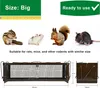 RatzFatz MTBSL60 Lebendfalle Groß, Premium Rattenfalle Produktbild-Vorschau 4
