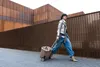 Reisenthel "reisenthel carrycruiser Einkaufstrolley Produktbild-Vorschau 6