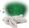 Cloud b® Dream Buddies Benny the Bunny™ - Peluche/luce con Anteprima dell’immagine prodotto 16