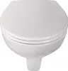 Calmwaters® Erhöhtes Wand WC spülrandlos Modern Plus mit Produktbild-Vorschau 8