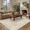 Omgoods - Tappeto vintage color beige - Lavabile e Anteprima dell’immagine prodotto 4