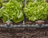 Valvola di regolazione/arresto del Micro-Drip System Anteprima dell’immagine prodotto 9