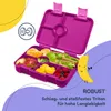 Boîte à lunch Schmatzfatz pour enfants avec compartiments, Voir les images du produit 6
