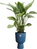 vibes fold coupe 30cm tiefes blau Produktbild-Vorschau 3