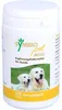 SymbioPet dog poudre pour chiens, 175 g de poudre Voir les images du produit 6