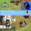Collage of dogs participating in agility training. Voir les images du produit