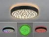 Dimmbare LED Deckenleuchte CHIZU Schwarz Ø40cm Produktbild-Vorschau 1