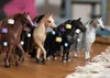 Schleich Horse Club Beauty Horse Quarter Horse Stute  42583 Produktbild-Vorschau 19