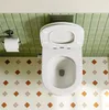 HOROW Taharet WC Inkl. Armatur und abnehmbarer Softclose Produktbild-Vorschau 4