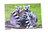 3 D Ansichtskarte Kattas, Postkarte Wackelkarte Produktbild-Vorschau 1