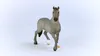 Schleich Horse Club Cheval de Selle Francaise Hengst 13956 Produktbild-Vorschau 7