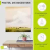 ARTland Poster Kühe I Größe: 40x40 cm Produktbild-Vorschau 2