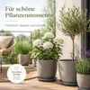 Pflanztopfuntersetzer Mira Anthrazit Ø 34cm - Frostsicher & Produktbild-Vorschau 4