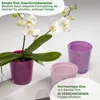 MePla - 2 Stück - Sandra Rich Glas-Orchideenkübel ø 12,5 Produktbild-Vorschau 3