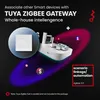 Tuya ZigBee Digitalanzeige Intelligenter Temperaturregler Produktbild-Vorschau 7