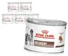 Royal Canin Veterinary VHN Recovery Mousse 6x195g Mokra Podgląd zdjęcia produktu 1