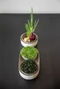 Sprossenschale & Pflanzschale ReGrow | Keimschalen von Produktbild-Vorschau 27