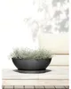 Pot de fleurs Ecopots Vienna 50 - L 50,4 cm x H 18,5 cm - Voir les images du produit 8