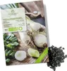 Frühlingszwiebel Samen (Weißer Lissabonner, 75 Korn) - Produktbild-Vorschau 1