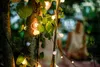 100er LED-Lichterkette mit Kugeln ww Produktbild-Vorschau 4