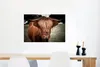 MuchoWow® Poster Schottisches Hochlandrind - Baum - Gras Produktbild-Vorschau 5