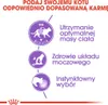 Royal Canin Sterilised, Dorosły, 85 g Podgląd zdjęcia produktu 7